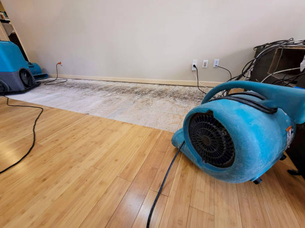 Professional Flood Damage Cleanup technician working in Gilbert, IA